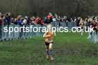 Junior Girls 2024 English Schools Cross Country Champs., Pontefract, March 16th.  Photo: David T. Hewitson/Sports for All Pics